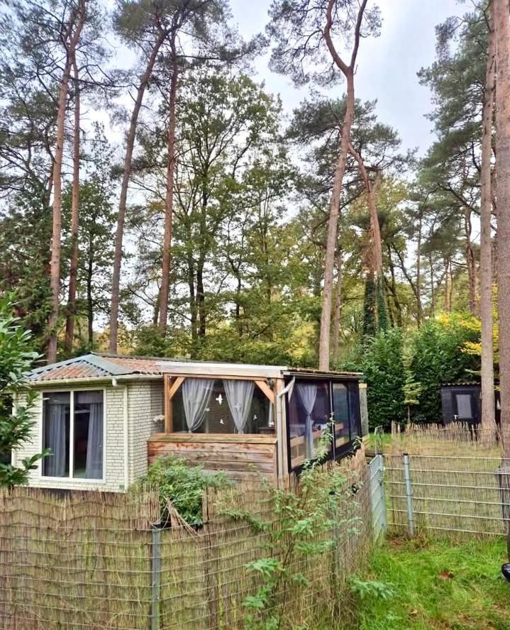 Doornspijk Cosy Chalet Veluwe With A Spacious Garden And Veranda מראה חיצוני תמונה